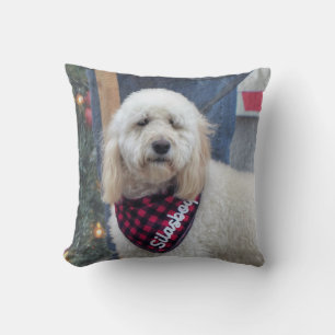 Poodle Kissen