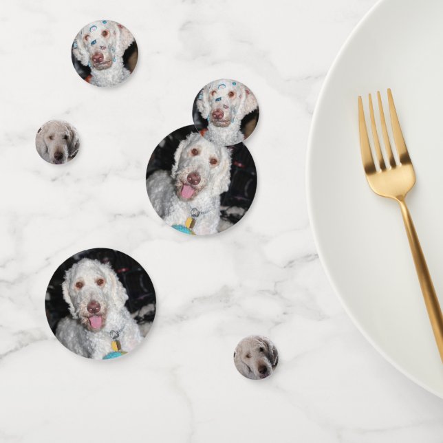 Poodle Konfetti (Gruppe)