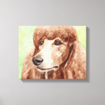 Poodle Leinwand Art
