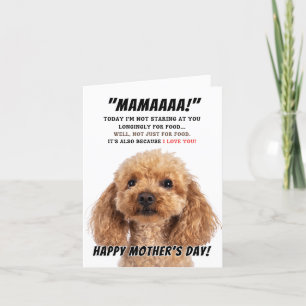 Poodle-Liebe für den Muttertag Dankeskarte