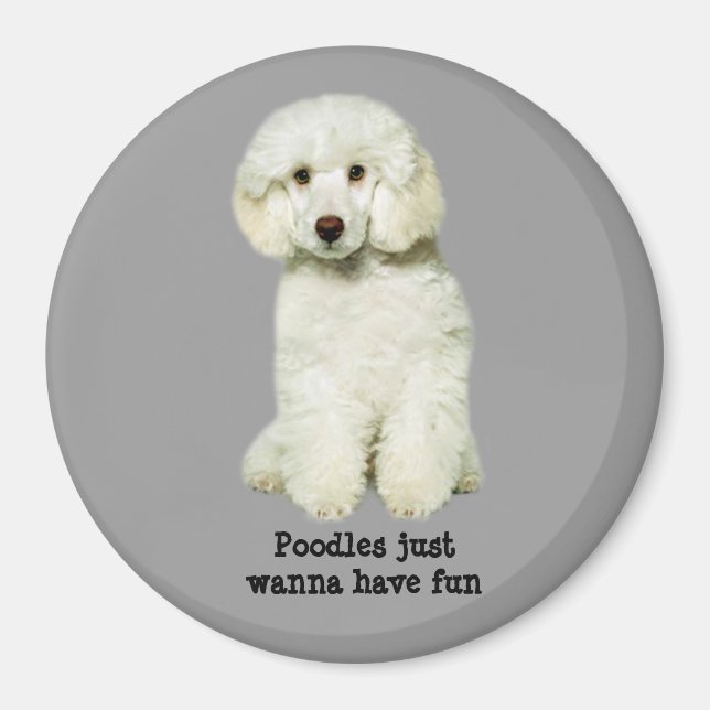 Poodle Magnet (Vorne)