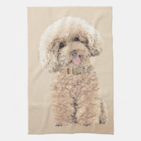 Poodle Miniatur Spielzeug Apricot Cream Brown Dog