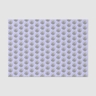 Poodle Miniatur Spielzeug Silver Gray Blue Hund Ku Seidenpapier
