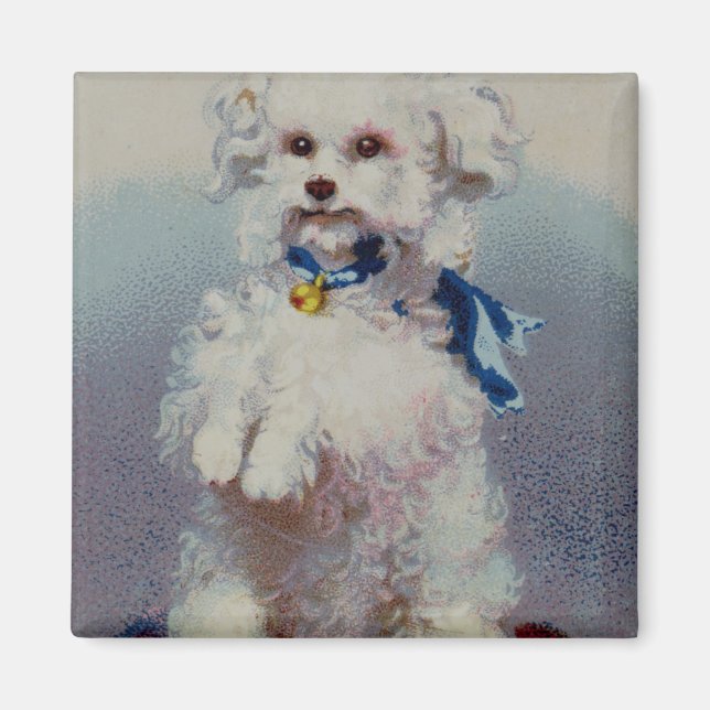 Poodle mit blauem Band Magnet (Vorne)