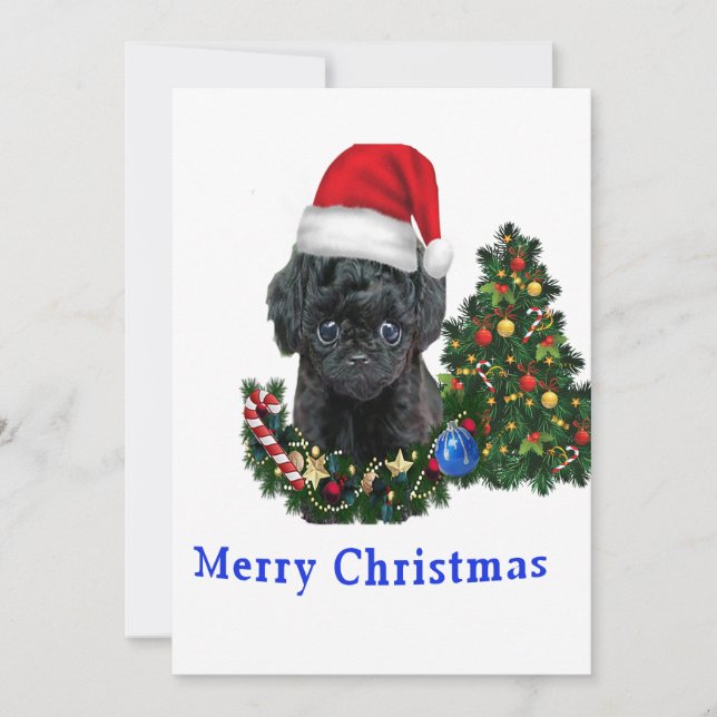 Poodle niedlicher Hund Weihnachtskarte Feiertagskarte (Vorderseite)