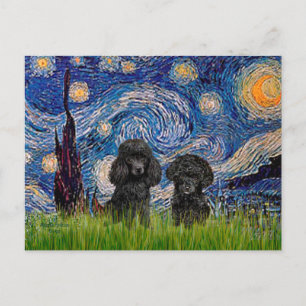 Poodle Pair (schwarz) - Starry Night Postkarte