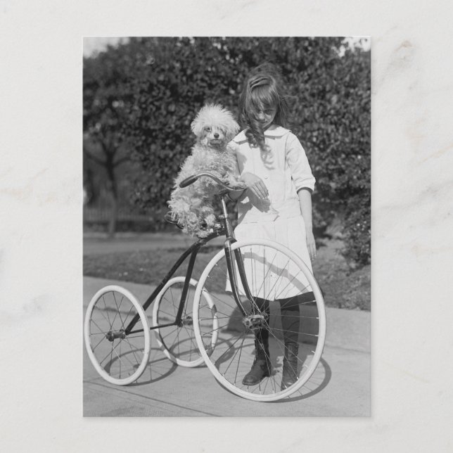 Poodle Perch, 1913 Postkarte (Vorderseite)