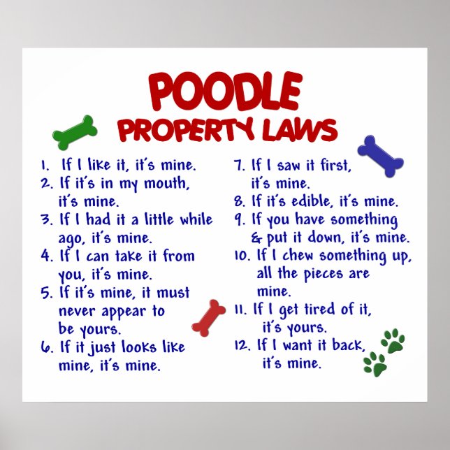 POODLE PL2 POSTER (Vorne)