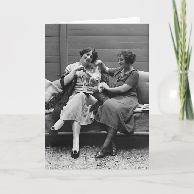 Poodle Playtime, 20er Karte (Vorderseite)