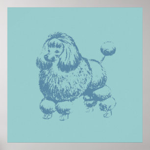 Poodle Poster