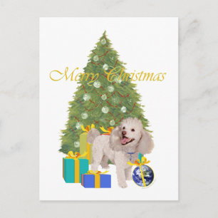 Poodle Postkarte