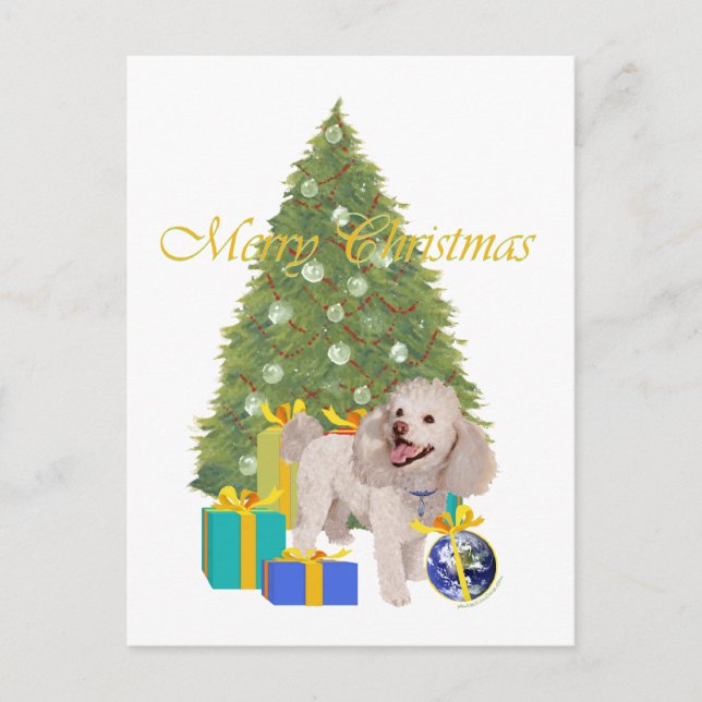 Poodle Postkarte (Vorderseite)