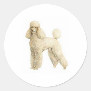 Poodle — Puppy Clip Runder Aufkleber