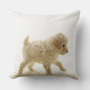 Poodle Puppy Kissen