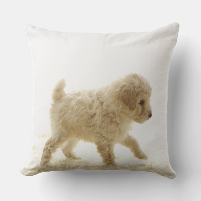Poodle Puppy Kissen (Vorderseite)
