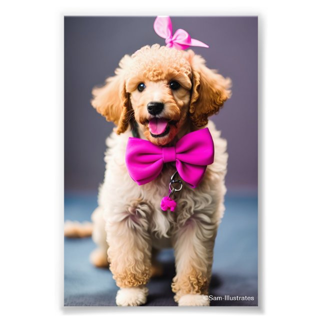 Poodle Puppy Satin Foto Erweiterung (Vorne)