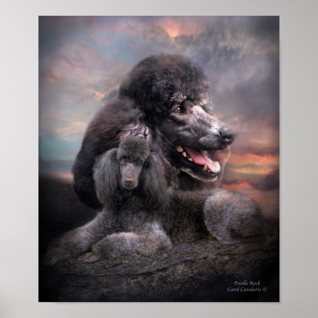 Poodle Rock Art Poster/Print Poster (Vorne)