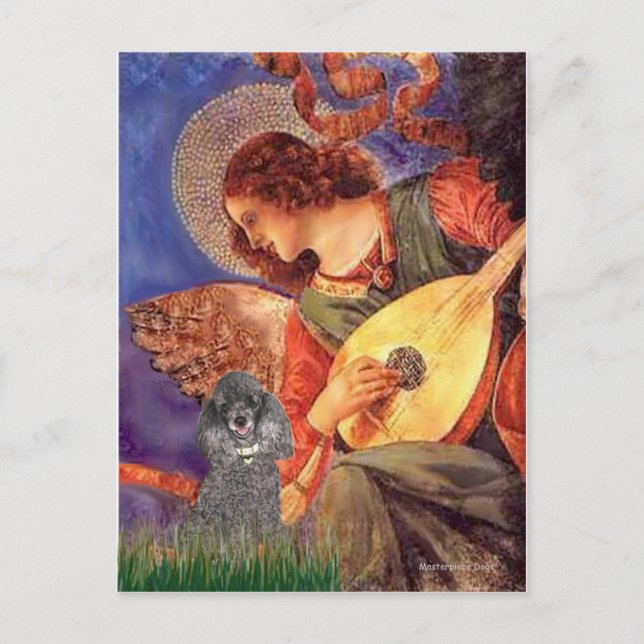 Poodle(s) - Mandolin Angel Postkarte (Vorderseite)