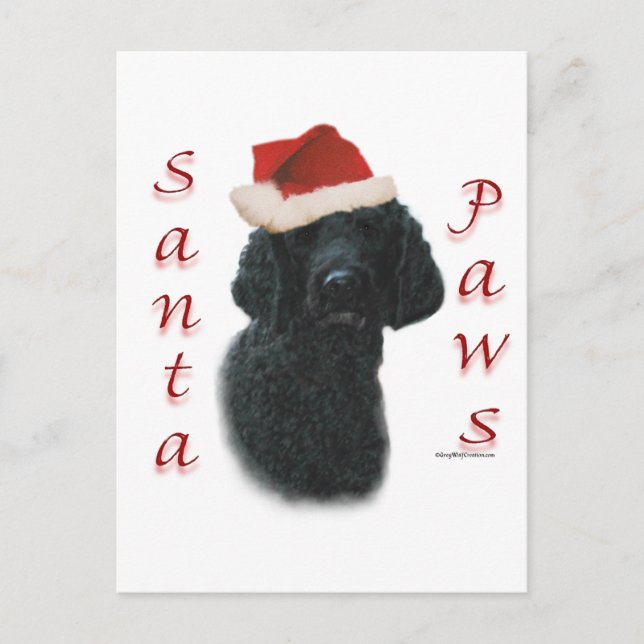 Poodle Santa Paws Feiertagspostkarte (Vorderseite)