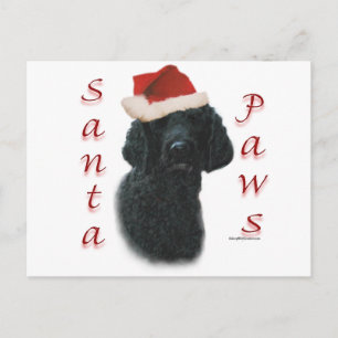 Poodle Santa Paws Feiertagspostkarte
