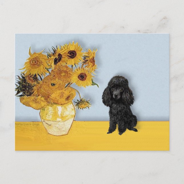 Poodle (Schwarz1) - Sonnenblumen Postkarte (Vorderseite)