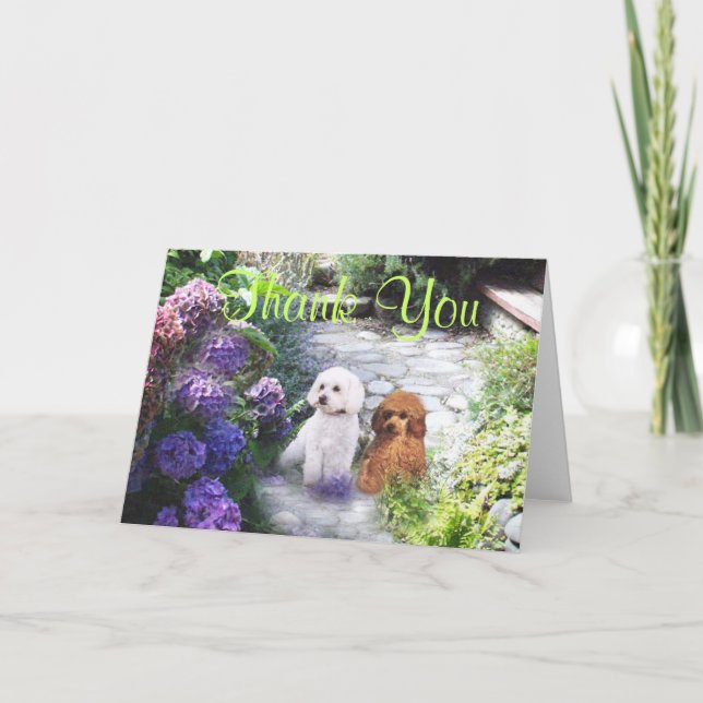 Poodle Thank You Card Hydrangeas Dankeskarte (Vorderseite)