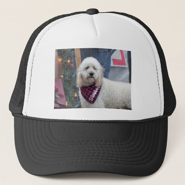 Poodle Truckerkappe (Vorderseite)