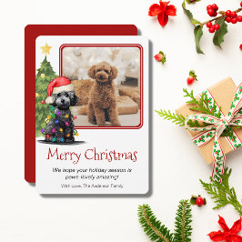 Poodle und Weihnachtsbaum Haustier Hund ein Foto Feiertagskarte