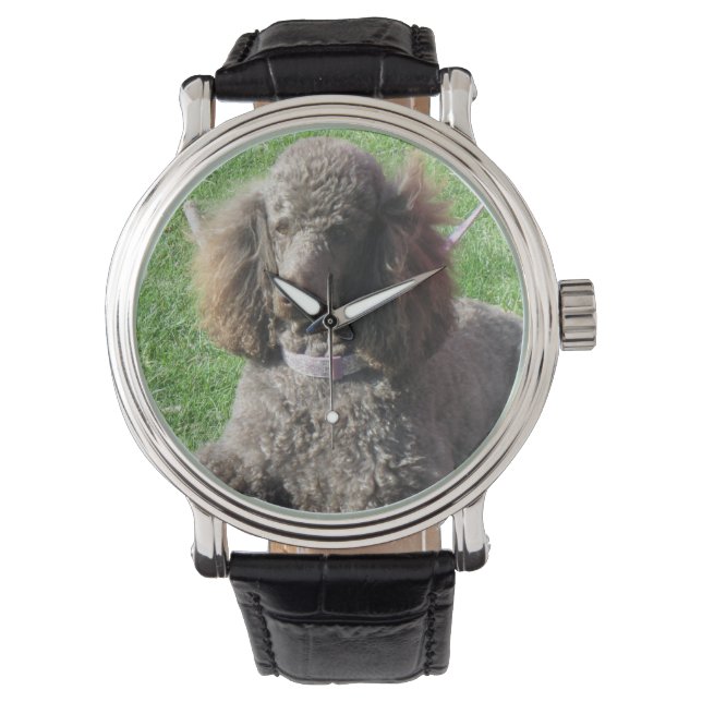 Poodle Watch Armbanduhr (Vorderseite)