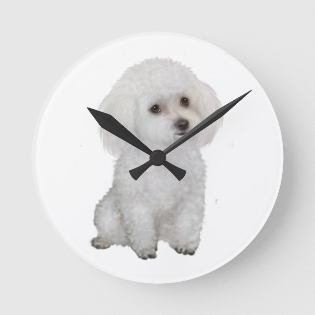 Poodle - weiß 1 runde wanduhr (Vorderseite)