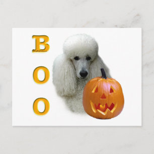 Poodle (weiß überzogen) Boo Postkarte