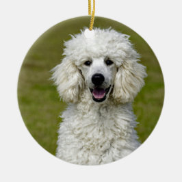 Poodle White Dog Foto Keramik Ornament