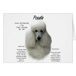 Poodle (wht) History Design