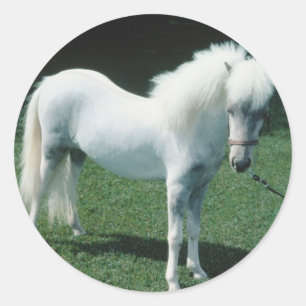 Poofy White Pony Runder Aufkleber