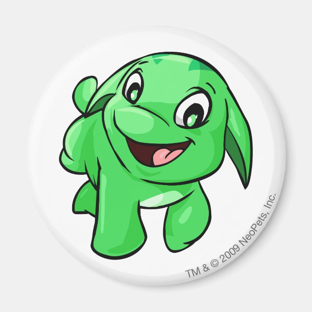 Poogle Green Magnet (Vorne)