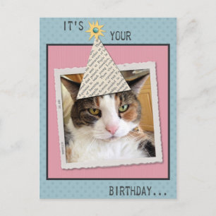 Pookie der Katze Geburtstagskarte Postkarte