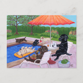 Pool Party Labradors 2 Bilder Postkarte