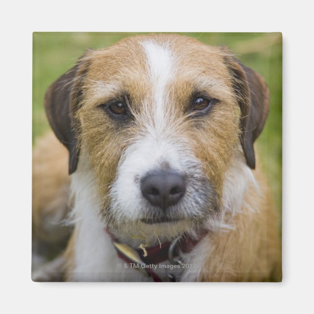 Pooley Bridge Cumbria england 2 Magnet (Vorne)