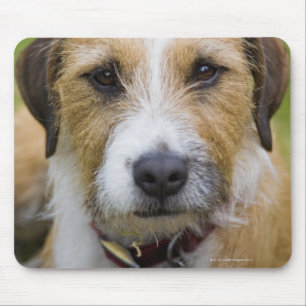 pooley Brücke cumbria England 2 Mousepad