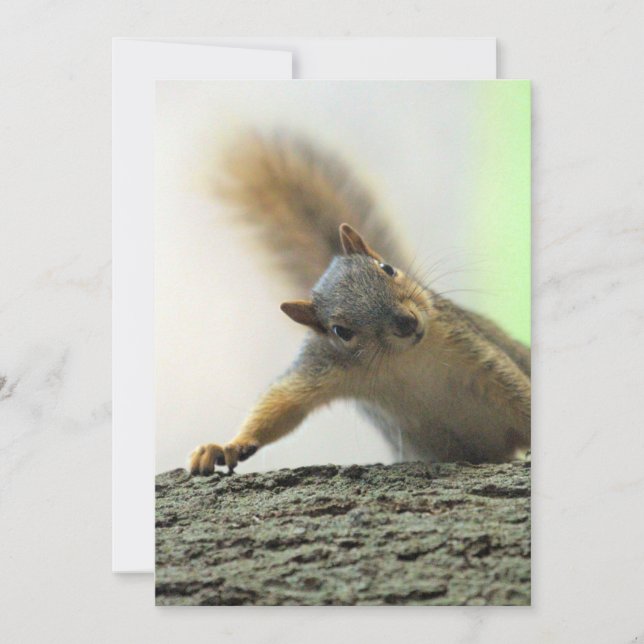 Poor Einladung (Vorderseite)