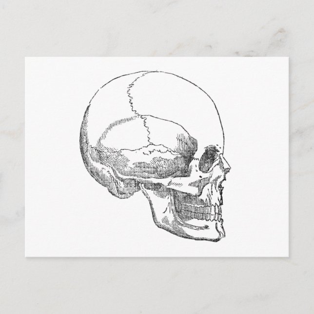 Poor Yorick Skull Postkarte (Vorderseite)