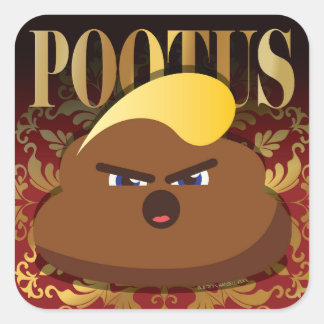 POOTUS QUADRATISCHER AUFKLEBER