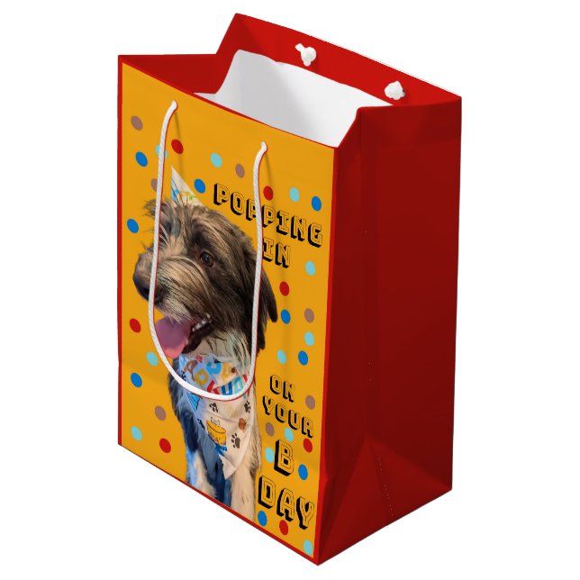 Pop Anniversaire En Puppy Sac Cadeau (Devant Angle)