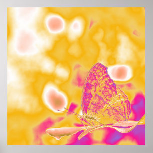 Pop Art Butterfly Poster