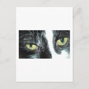 Pop Art Cat Postkarte