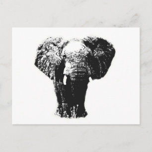 Pop Art Elephant Postkarte
