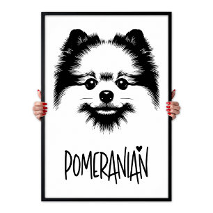 Pop-Art Pomeranian Schwarz-Weiß Chic Ästhetik Poster