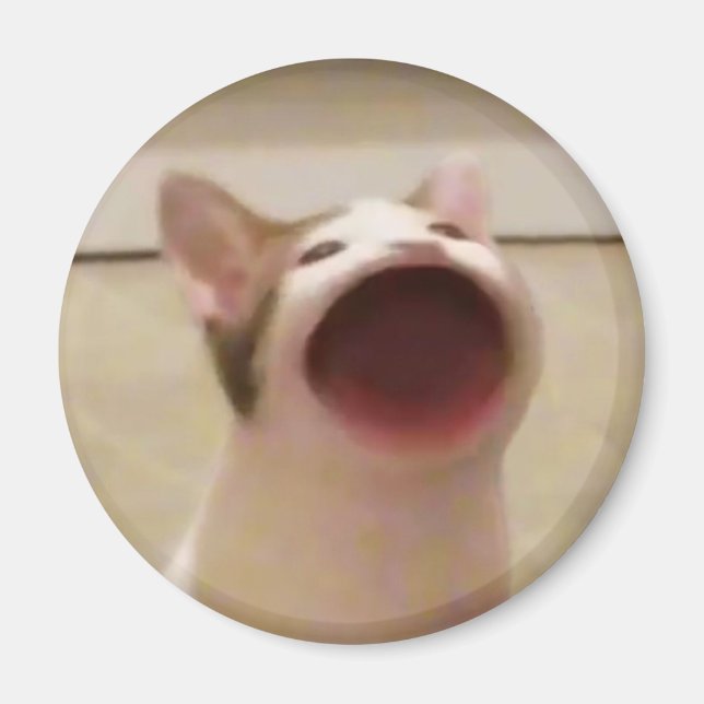 Pop Cat Magnet (Vorne)