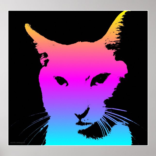 Pop Cat Poster (Vorne)