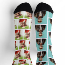 Pop Culture Signable Add Foto Personalisiert Custo